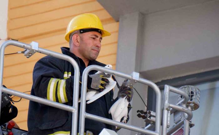 Erzurum’da İtfaiyecilerin Güvercin Operasyonu