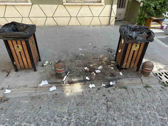 İki Çöp Kutusunun Arasına Atılan Atıklar ‘pes’ Dedirtti