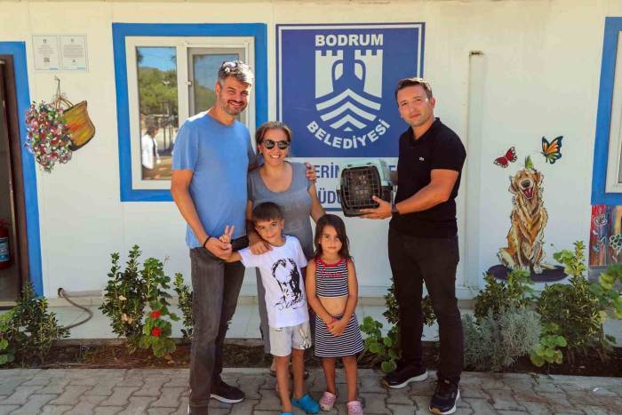 Bodrum’da Bir Firari Maymun