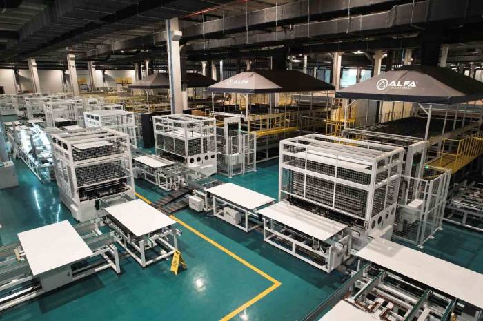 Alfa Solar Enerji Fortune 500’de