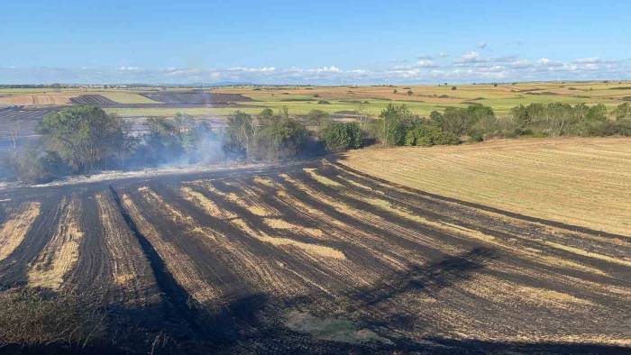 Tekirdağ’da 250 Dönüm Tarım Arazisi Kül Oldu