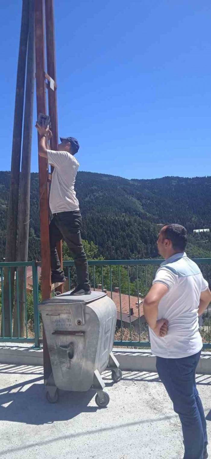 Kastamonu’da İlçe Merkezine İnen Ayılar Kamerayla İzlenecek