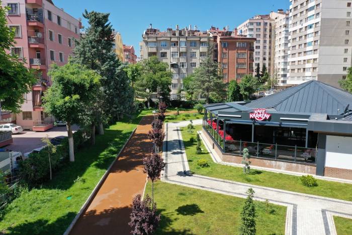 Kafe Karatayların Sayısı Artıyor