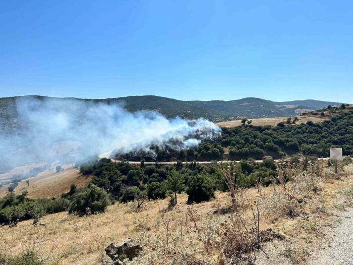 Kula’da Orman Yangını Kontrol Altına Alındı