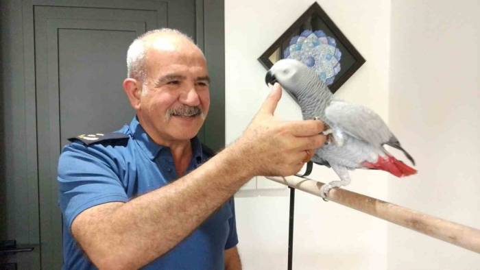 Emniyet Müdürünün Hayvan Sevgisi Görenlerin Takdirini Topluyor