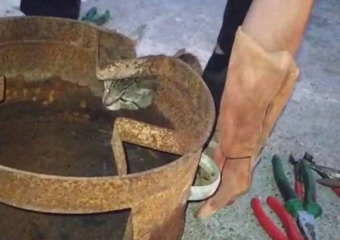 Sobanın Boru Kısmına Sıkışan Kediyi İtfaiye Kurtardı