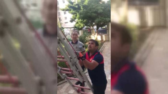 Yuvasından Düşen Yavru Kuş, İtfaiye Ekiplerince Kurtarıldı