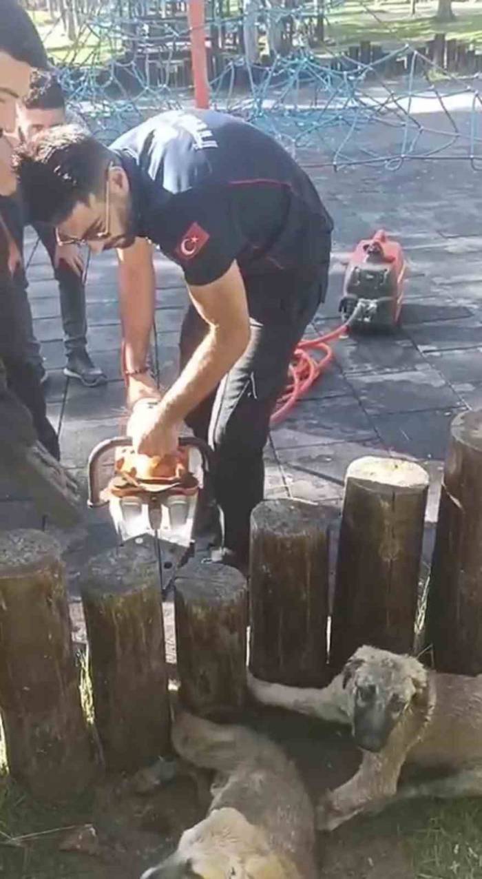 Acıyla Kıvranıyorlardı, Yardıma İtfaiye Ekipleri Yetişti