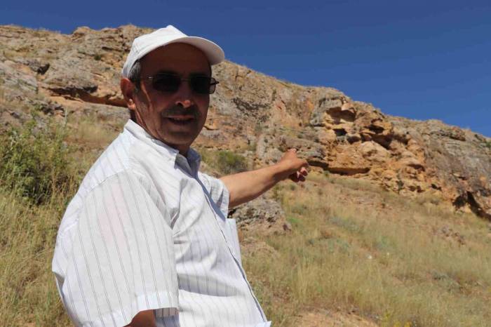 10 Yıl Sonra Kendilerini Gösterdiler, Sivas’ta Kara Leylek Ailesi Görüntülendi