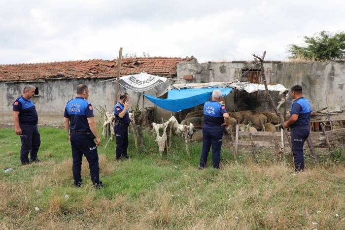 Samsun’da Uyarı Yapılan 12 Ahırın Faaliyetine Son