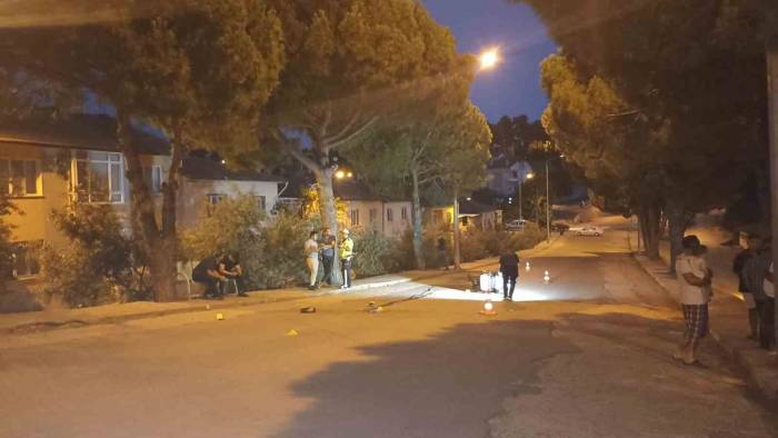 Sokak Köpekleri Saldırdı, Elektrikli Motosikletten Düşüp Hayatını Kaybetti