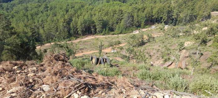 Muğla’da Orman Kesim Alanında İş Kazası: 1 Ölü
