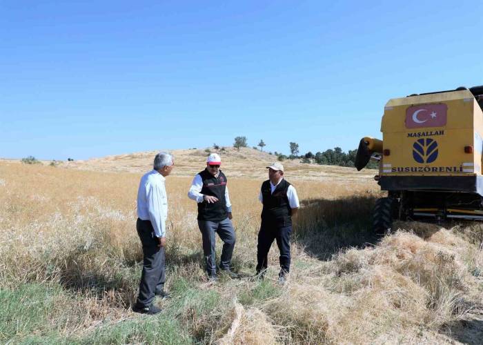 Uşak’ta Keten Hasadı Bereketli Başladı