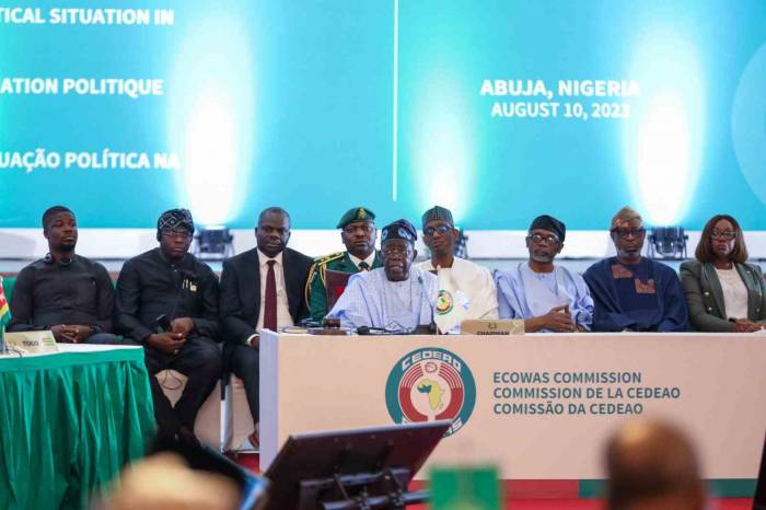 Ecowas’tan İhtiyat Kuvvetlerini Hazır Hale Getirme Ve Konuşlandırma Talimatı