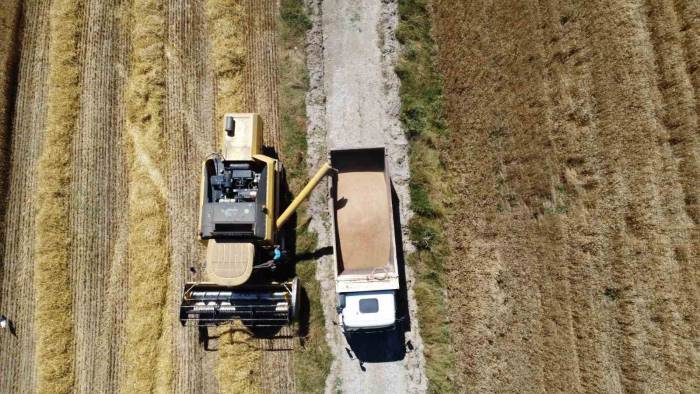 Çorum Belediyesi İhtiyaç Sahiplerine 15 Ton Un Dağıtacak