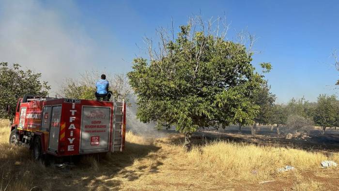 Gaziantep’te Örtü Yangınını İtfaiye Ve Vatandaşlar Söndürdü