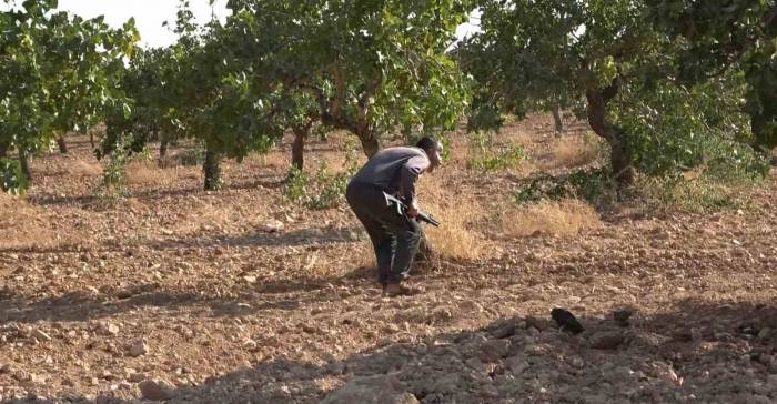 ‘yeşil Altın’ İçin 7 Gün 24 Saat Silahlı Nöbet