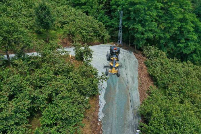 Başkan Tören: “tüm Ekiplerimiz İle Sahadayız”