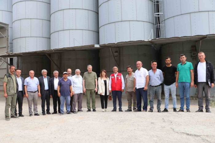 Güldal: "tmo Son Ürün Gelene Kadar Alıma Devam Edecek"