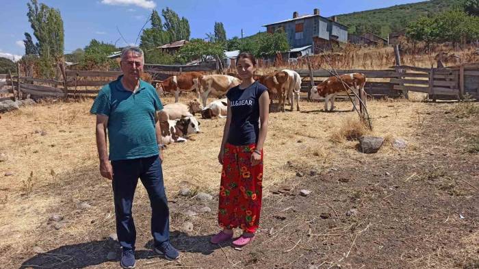 Üniversiteden Mezun Olan Genç Kıza 5 Düve Hibe