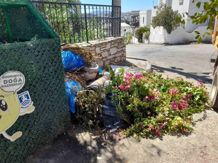 Boş Konteynerlerin Çevresi Çöplüğe Döndü
