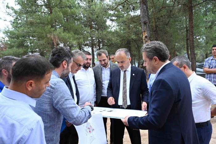 Bursa’da Sokak Hayvanları İçin Rehabilitasyon Merkezi