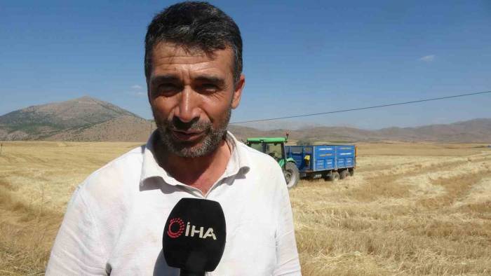 160 Bin Dönümde Buğday Hasadı, Verim Üreticinin Yüzünü Güldürdü