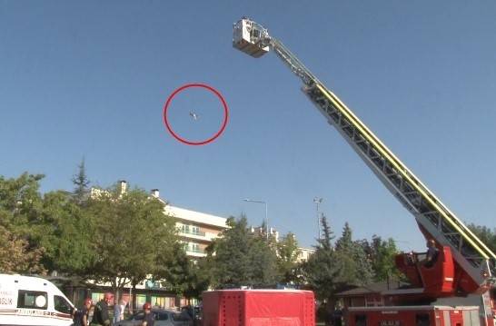İntihardan Vazgeçmek İçin İstediği Kedisini Metrelerce Yüksekten Atıp Öldürdü