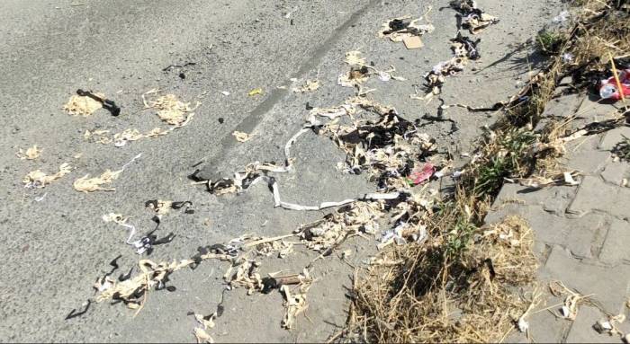 Sultangazi’de Araziyi Kirleten Şahsa Zabıta Baskını