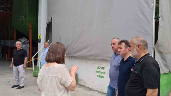 Zonguldak’a 6 Milyon Dolarlık Fındık Entegre Tesisi Yatırımı