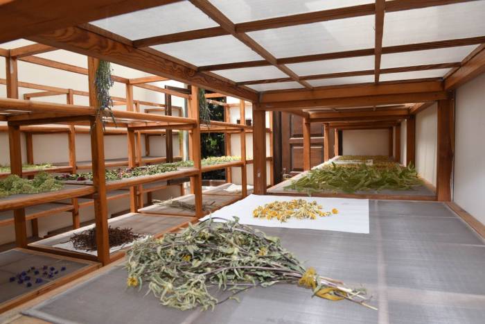 İstanbul’un Ortasında Şifa Dolu Bir Bahçe