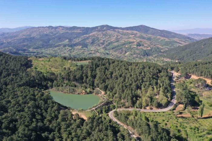 Burası Karadeniz Değil Aydın