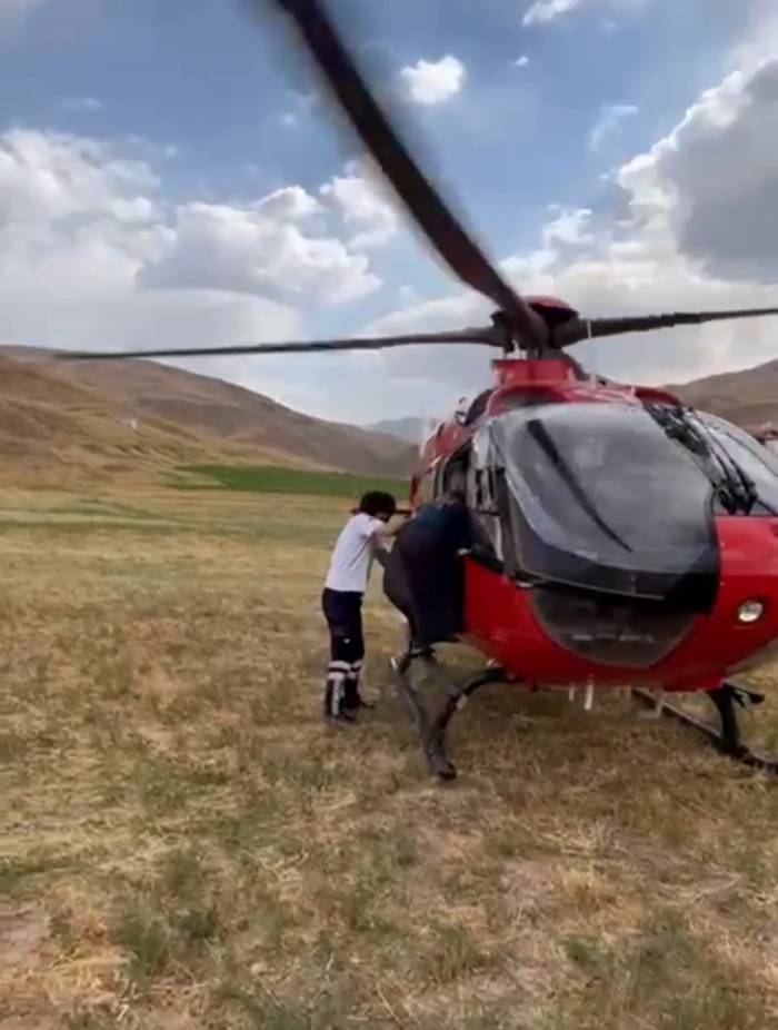 Van’da Arı Sokmasıyla Rahatsızlanan Kadın Ambulans Helikopterle Hastaneye Kaldırıldı