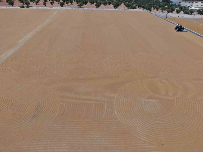 Sofraların Vazgeçilmez Lezzeti Bulgurun Meşakkatli Yapım Serüveni