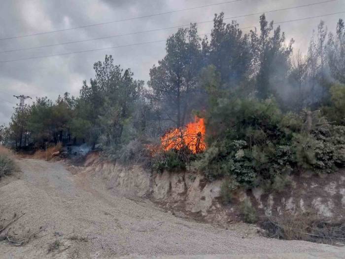 Çanakkale’deki Orman Yangını Kontrol Altına Alındı