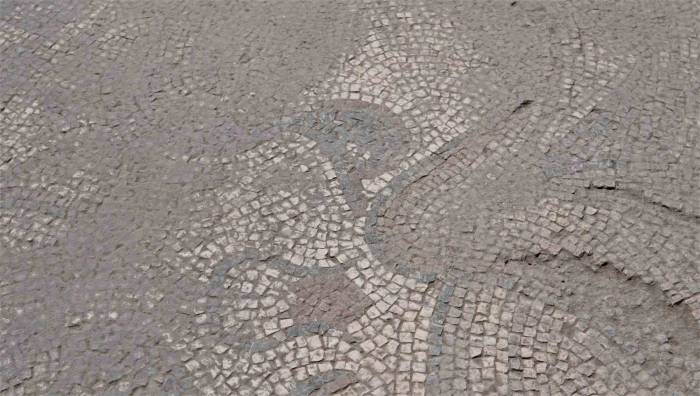 Tarlada Heyecanlandıran Keşif: Kazı Çalışmaları Başladı