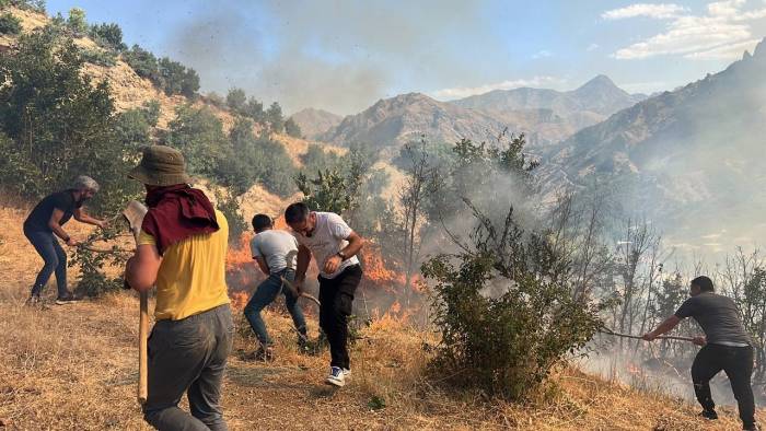 Şemdinli’de Çıkan Orman Yangını Korkuttu
