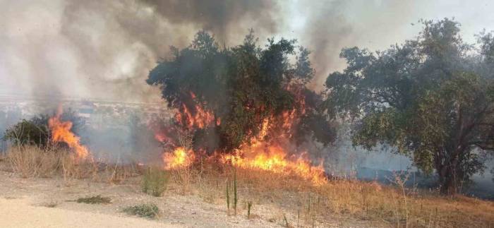Hatay’da 2 Farklı Noktada Meydana Gelen Yangın, Ormanlık Alana Sıçramadan Söndürüldü