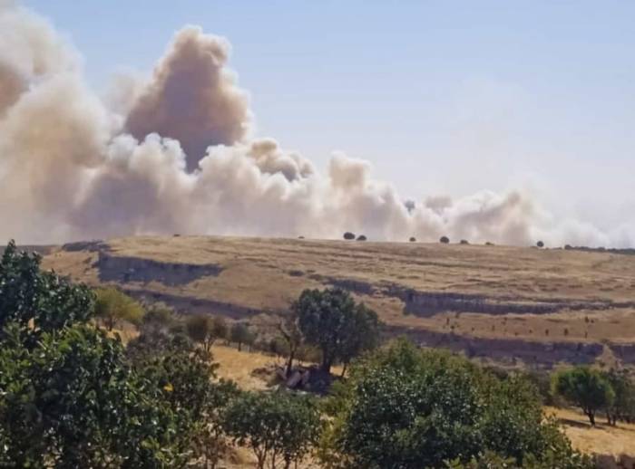 Mardin’de İki Farklı Noktada Çıkan Örtü Yangını Kontrol Altına Alındı