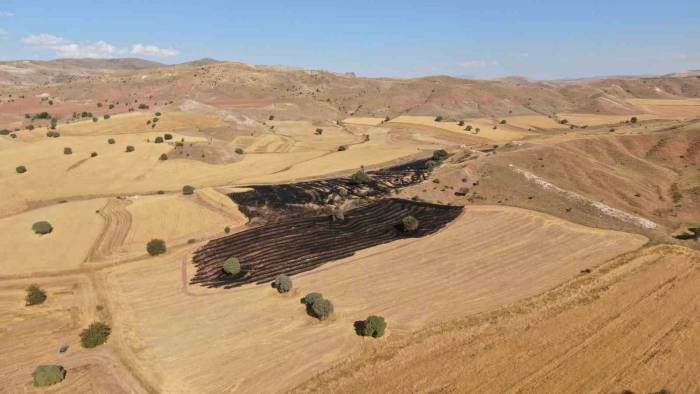 Çocukların Ateşle Oyunu Pahalıya Mal Oldu, 50 Dönüm Buğday Tarlası Kül Oldu
