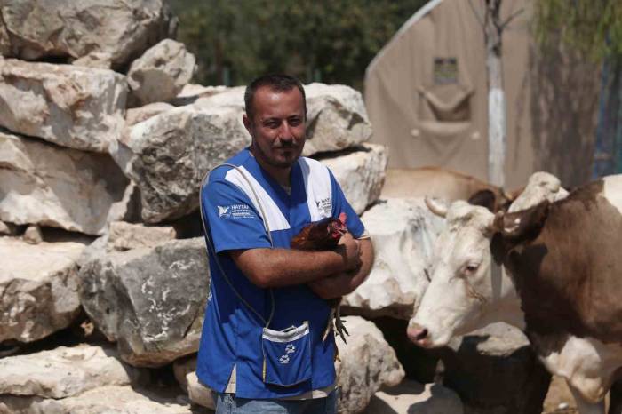 Her Birinin Ayrı Hikayesi Var: Emekli Hayvanlar Böyle Dinleniyor