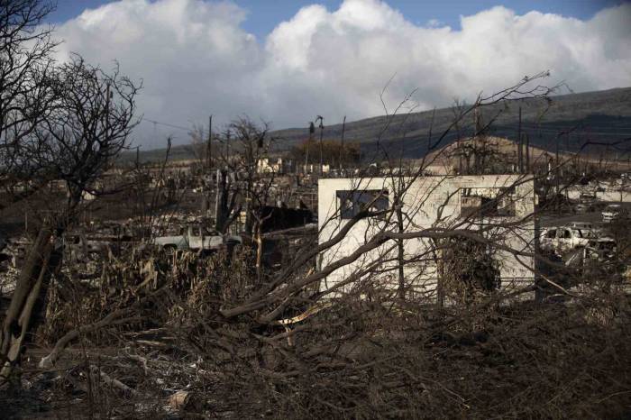 Hawaii’de Can Kaybı 96’ya Yükseldi