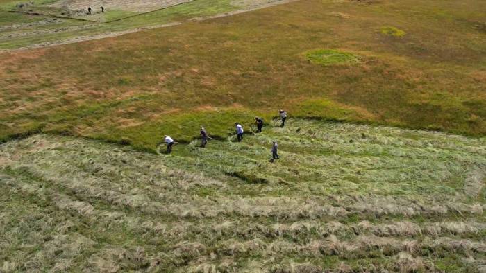 Tırpan İle Ot Biçme Havadan Görüntülendi