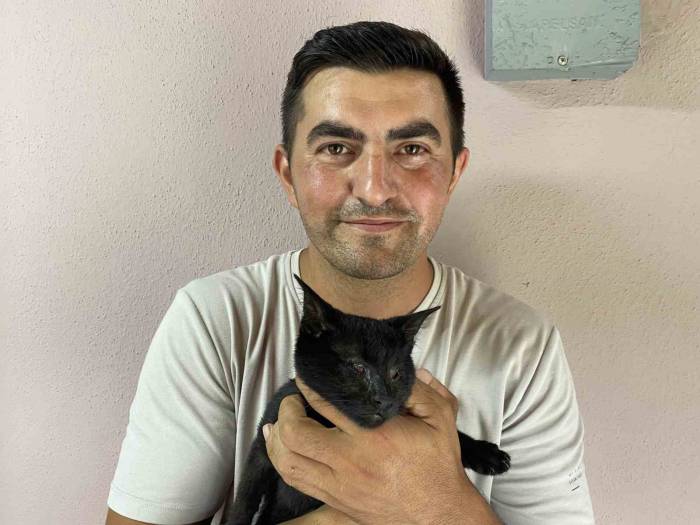 Sokak Hayvanlarının Kahramanı