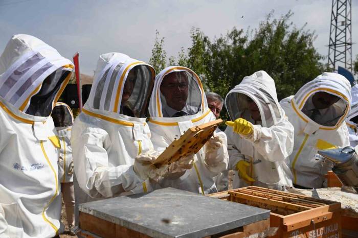 Konya’da Arılı Kovan Desteği Projesi’nde İlk Hasat Yapıldı