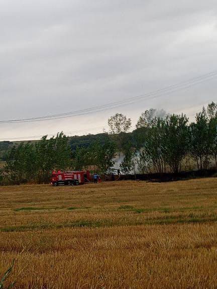 Tekirdağ’da Arazi Yangını