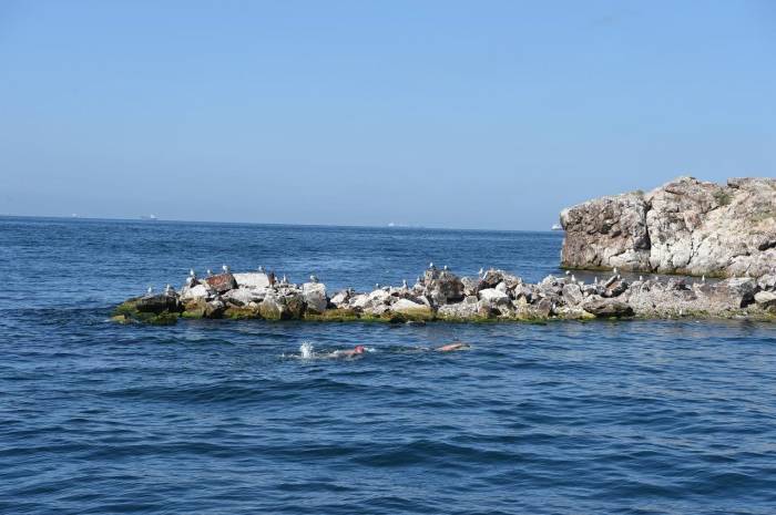 Sarayburnu’ndan Sivri Ada’ya 16.5 Kilometrelik Yüzme Geçişi İçin İlk Adım Atıldı