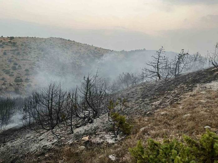 Afyonkarahisar’da Orman Yangını