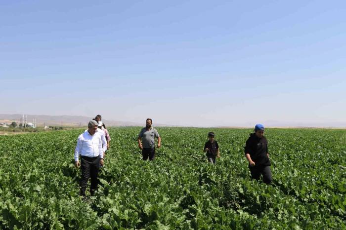 Ağrı’da Tarım Ve Orman Müdürü Engin’in Çiftçi Ve Veteriner Hekim Ziyaretleri