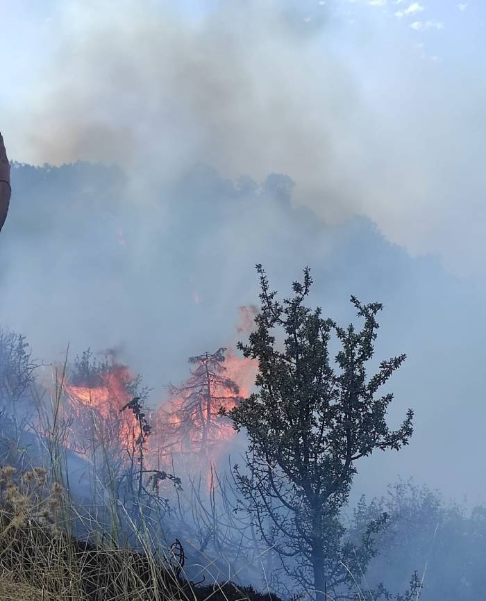 Ankara’da Orman Yangını